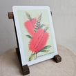 Load image into Gallery viewer, Australian Native Floral Postcard / Gift Card - Crimson Bottlebrush