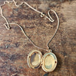 Load image into Gallery viewer, Oval locket necklace rosegold
