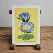 Load image into Gallery viewer, Australian Native Floral Postcard / Gift Card Blue Water Lily