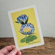 Load image into Gallery viewer, Australian Native Floral Postcard / Gift Card Blue Water Lily