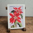 Load image into Gallery viewer, Australian Native Floral Postcard / Gift Card Poinsettia