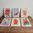 Load image into Gallery viewer, australian native wild flowers card set made in australia