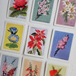 Load image into Gallery viewer, Australian native wildflower card set