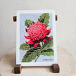Load image into Gallery viewer, Australian Native Floral Postcard / Gift Card - Waratah
