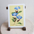 Load image into Gallery viewer, Australian Native Floral Postcard / Gift Card - Ruellia Australis