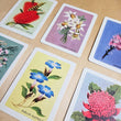 Load image into Gallery viewer, Australian Native Floral Postcards / Gift Card Set of 6