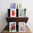 Load image into Gallery viewer, Australian Native Floral Postcard / Gift Card - Crimson Bottlebrush