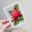 Load image into Gallery viewer, Australian Native Floral Postcard / Gift Card - Waratah