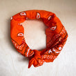Load image into Gallery viewer, Bandana Scarf Orange
