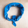 Load image into Gallery viewer, Bandana Turquoise Blue