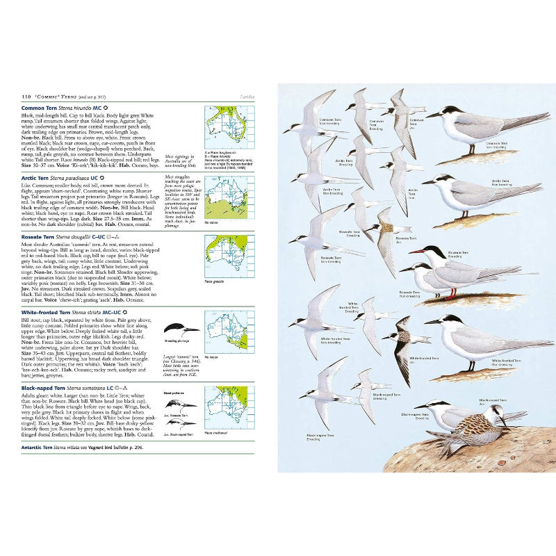 Field Guide to the Birds of Australia Simpson & Day 8th Edition