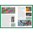 Load image into Gallery viewer, Green Guide: Garden Birds Of Australia