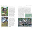 Load image into Gallery viewer, Green Guide: Garden Birds Of Australia
