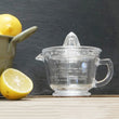 Load image into Gallery viewer, Glass Juicer