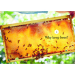 Load image into Gallery viewer, Backyard Bees