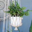 Load image into Gallery viewer, Flower Sika Plant Hanger - medium
