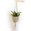 Load image into Gallery viewer, Rodela Kokodama Plant Hanger