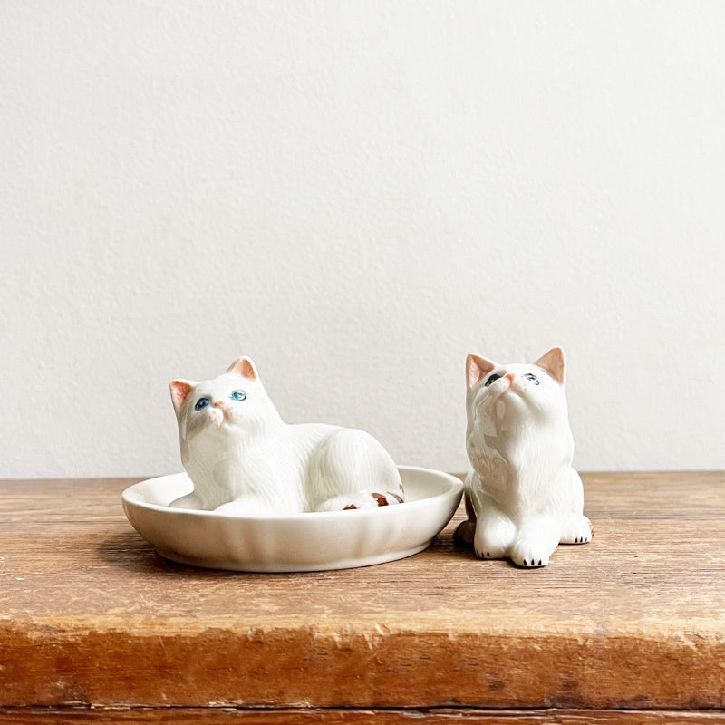 Salt & Pepper White Cats Outlet Newtown