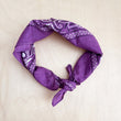 Load image into Gallery viewer, Bandana Scarf - Mauve