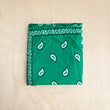 Load image into Gallery viewer, Bandana Scarf - Bright Green