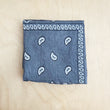 Load image into Gallery viewer, Bandana Scarf - Steel