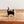 Load image into Gallery viewer, Miniature Ceramic Standing Cat - Black &amp; White
