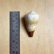 Load image into Gallery viewer, Shell