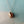 Load image into Gallery viewer, Oval locket necklace rosegold
