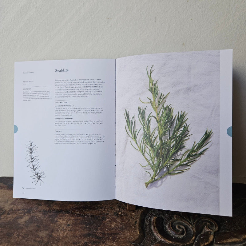 Eat Weeds A field Guide To Foraging