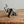 Load image into Gallery viewer, Miniature grey ceramic elephant trunk raised
