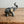 Load image into Gallery viewer, Miniature grey ceramic elephant trunk raised
