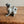 Load image into Gallery viewer, koala with baby ceramic
