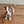 Load image into Gallery viewer, Jack russel dog brown ceramic
