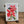 Load image into Gallery viewer, Australian Native Floral Postcard / Gift Card Poinsettia
