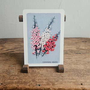 Australian Native Floral Postcard / Gift Card Common Heath pink White Red