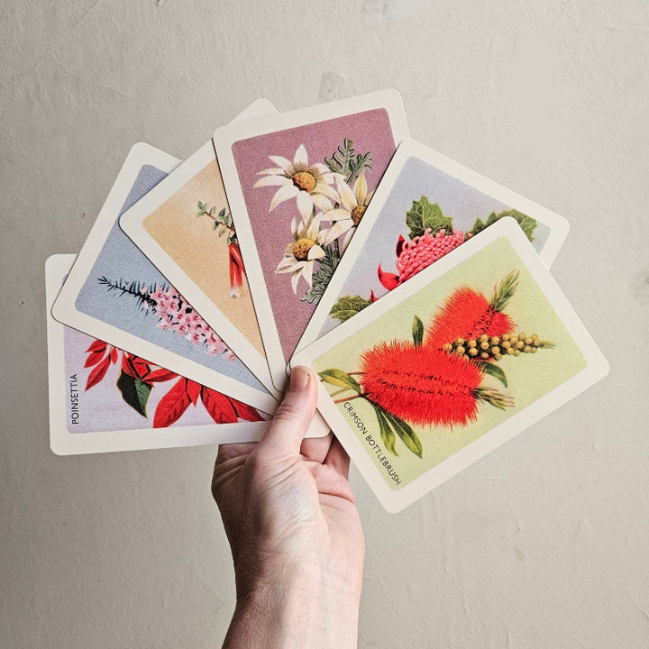 australian native wild flowers card set  made in australia