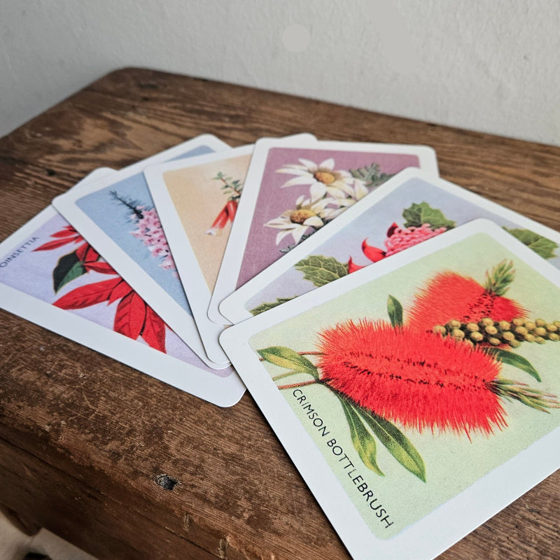 australian native wild flowers card set  made in australia