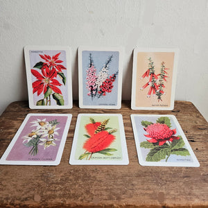 australian native wild flowers card set  made in australia