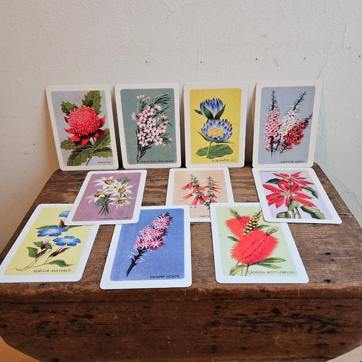 Australian native wildflower card set