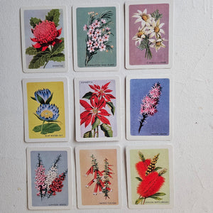 Australian native wildflower card set