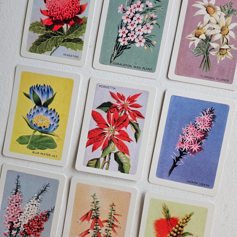 Australian native wildflower card set