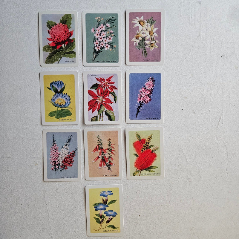 Australian native wildflower card set