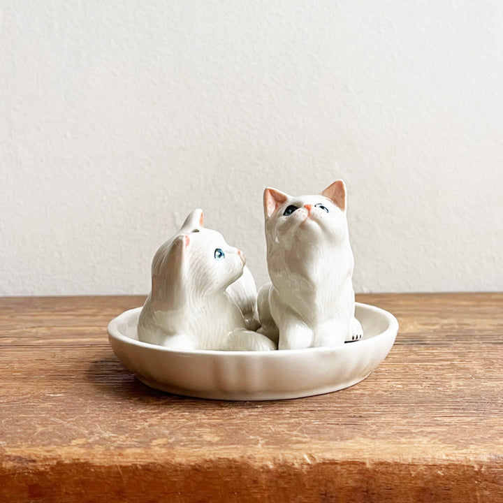 Salt & Pepper White Cats