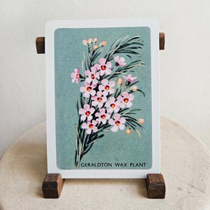 Australian Native Floral Postcard / Gift Card - Geraldton Wax Plant