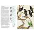 Load image into Gallery viewer, Field Guide to the Birds of Australia Simpson &amp; Day 8th Edition
