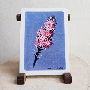 Australian Native Floral Postcard / Gift Card - Swamp Heath