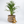 Load image into Gallery viewer, Rattan Pot Plant Basket - 48 x 36cm
