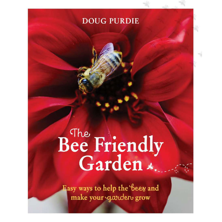 Bee Friendly Garden: Easy Ways To Help The Bees