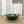 Load image into Gallery viewer, Outlet Camping Bamboo Fibre Degradable Bowl 21CM - Green
