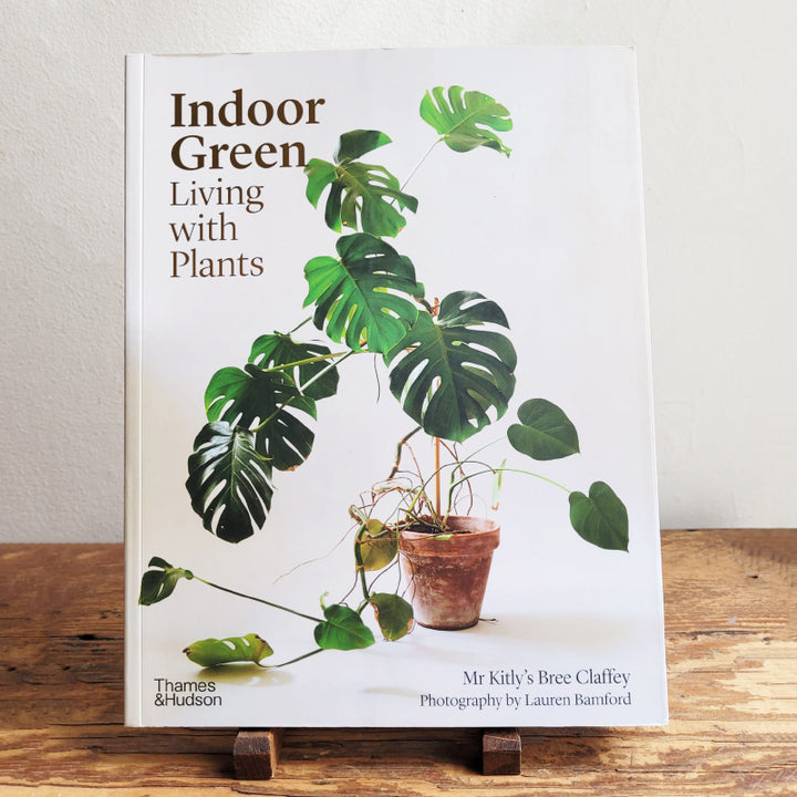 Indoor Green Living With Plants
